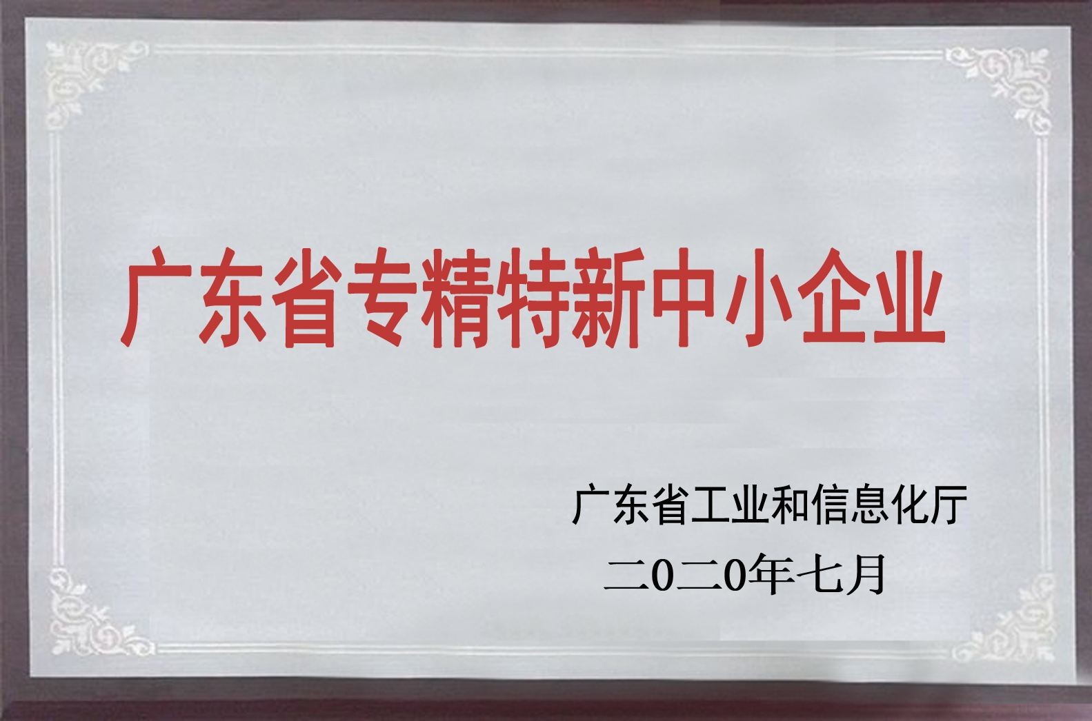 廣東省專精特新中小企業(yè)